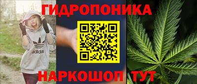 спиды Бийск