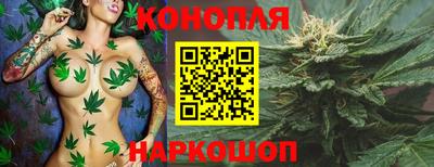 спиды Бийск