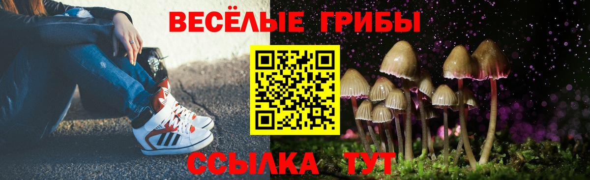 Карачаевск  Галлюциногенные грибы ЛСД  Галлюциногенные грибы Cubensis  Вход с VPN 