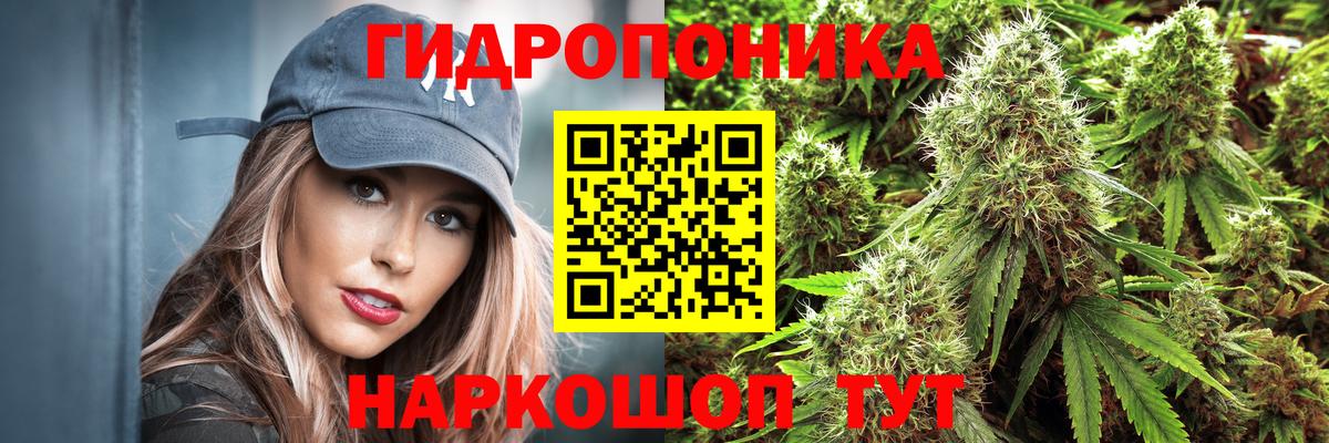 Бошки Шишки ГИДРОПОН Карачаевск